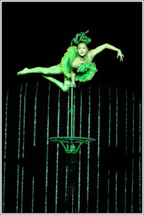 Huxi Theatre Acrobatic Show photo
